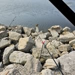 Michael Van Buskirk - @michael.vanbuskirk.18 - Instagram