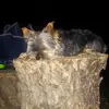 michaelbutorac - @michaelbutorac - TikTok