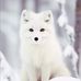 Michael Button - Facebook