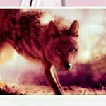 Michael Cabal - @michaelcabal1231 - Instagram