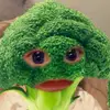 Michael Caiafa - @mike_savv - TikTok