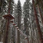 @michael.calcuttajdz - Instagram