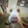 michael_campi - @michael_camp - TikTok