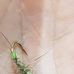 Michael fishing files campany - Facebook