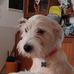 Michael Campidonico - Facebook