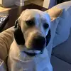 michaelcanney661 - @michaelcanney661 - TikTok