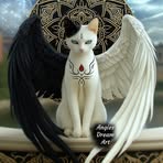 Michael Cante - Facebook