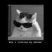 Michael Cantor - Facebook
