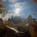 @michael_canzano - Instagram