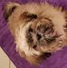 Michael Capodanno - Facebook