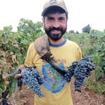 Michael Cappellucci - @michaelcappellucci - Instagram