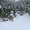 Michael Cappadocia - @michaelcappadocia - TikTok