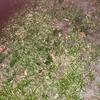 Michael Capron - @michael.capron5 - TikTok