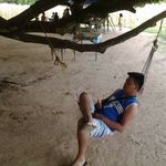 Michael Carillo - @michael.carillo.5 - Instagram