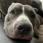 Michael Francis Carillo - @i_am_new_york_ - Instagram