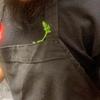 Michael Carino - @michael.carino03 - TikTok