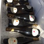 Michael Carleton - @transatlanticbubbles - Instagram