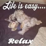 Michael Carlone - @michaelcarlone - Instagram