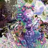 Michael Carman - @moonrosemedium - TikTok