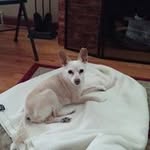 Michael Carmichael - @carmichael2728 - Instagram