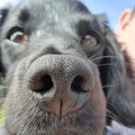 Michael Carney - @michael.carney.39395033 - Instagram