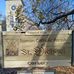 Saint Michael Church Carp - Facebook
