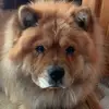 michaelcarradine - @michaelcarradine - TikTok