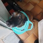 Michael Carreno - @carreno9018 - Instagram