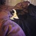 Michael Carta - Facebook