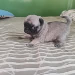 Michael Cartagena - @michael_cartagena - Instagram