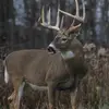 Michael cason - @cason66523 - TikTok