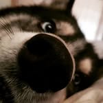 Michael Cassells - @michael.cassells - Instagram