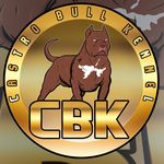 Michael Castro - @castro_bull_kennel - Instagram