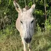 michaelcather990 - @michaelcather990 - TikTok
