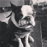 Michael catton - @michaelrcatton - Instagram