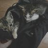 Michael_Cavada - @user9rpeid4vps - TikTok