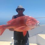 Michael Cavanagh - @michael.cavanagh - Instagram