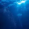 michaelcavataio - @michaelcavataio53 - TikTok