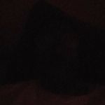 Mike Jones - @michaelceaser56 - Instagram