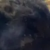 Michał Cegielski - @odbanujpurkidslemurmort - TikTok
