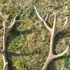 Michael Cerf - @michael.cerf0 - TikTok