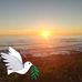 Michael Cerff - Facebook