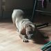 Mickael Cerise - Facebook