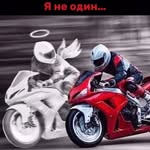 Michael Chertov - @michaelcertov5 - Instagram
