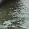 Michael Červenka - @user40796645 - TikTok