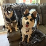 Fred Michael Chamness - @fmchamness - Instagram