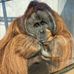 Michael Champlin - Facebook