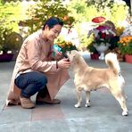 Michael Chan - Facebook