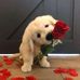 Michael Charles - Facebook