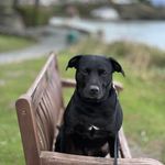 Michael Charnock - @eh_calm_down - Instagram